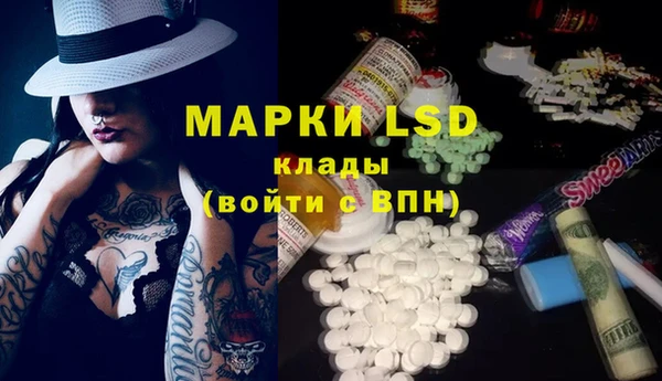 индика Балабаново