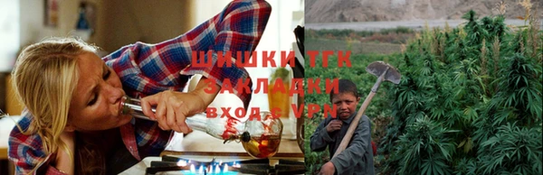 дживик Баксан