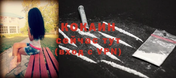 индика Балабаново