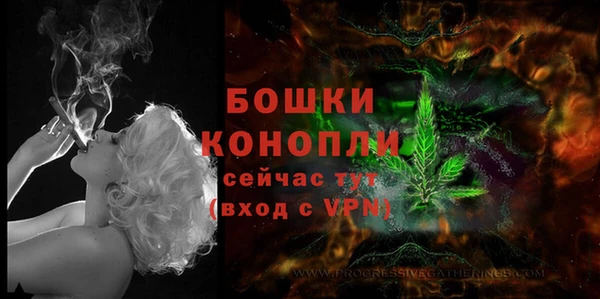 дживик Баксан