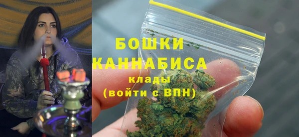 индика Балабаново