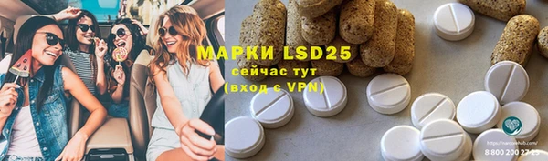 индика Балабаново