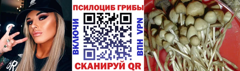 Галлюциногенные грибы Cubensis  MEGA ССЫЛКА  Заозёрск  где продают наркотики 